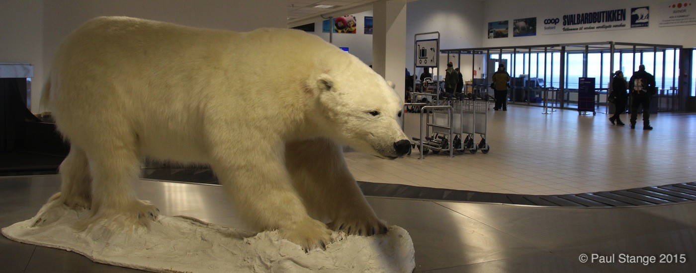 Polar bear in the entry hall of the airport in Spitsbergen (Norway).